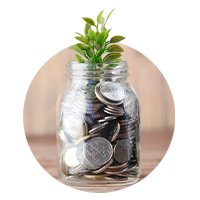 A plant with a base jar full of coins